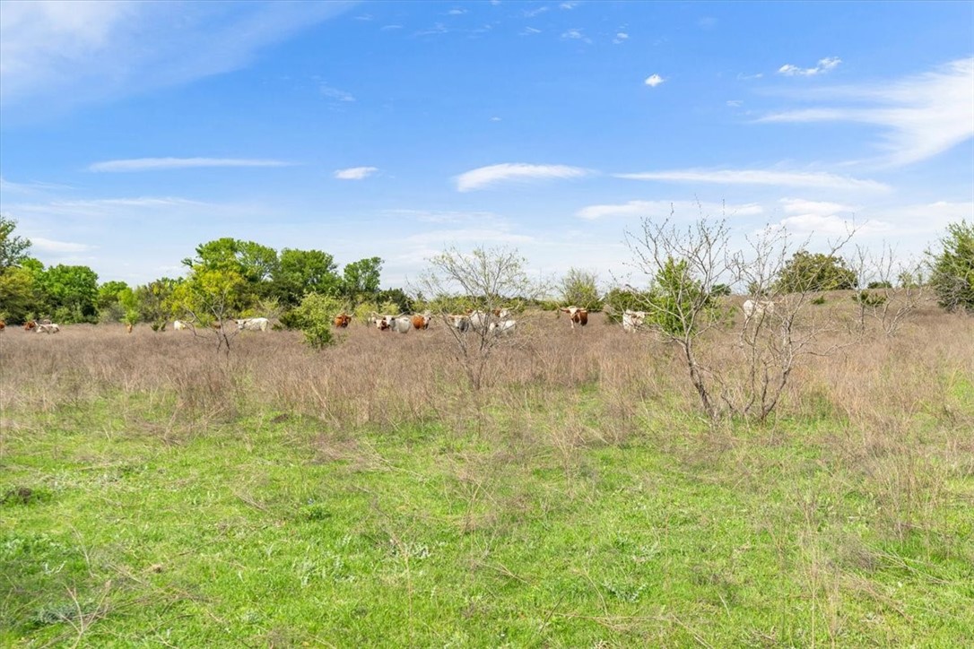 TBD 252.78 Acres Dan Morgan Road, China Spring, Texas image 32