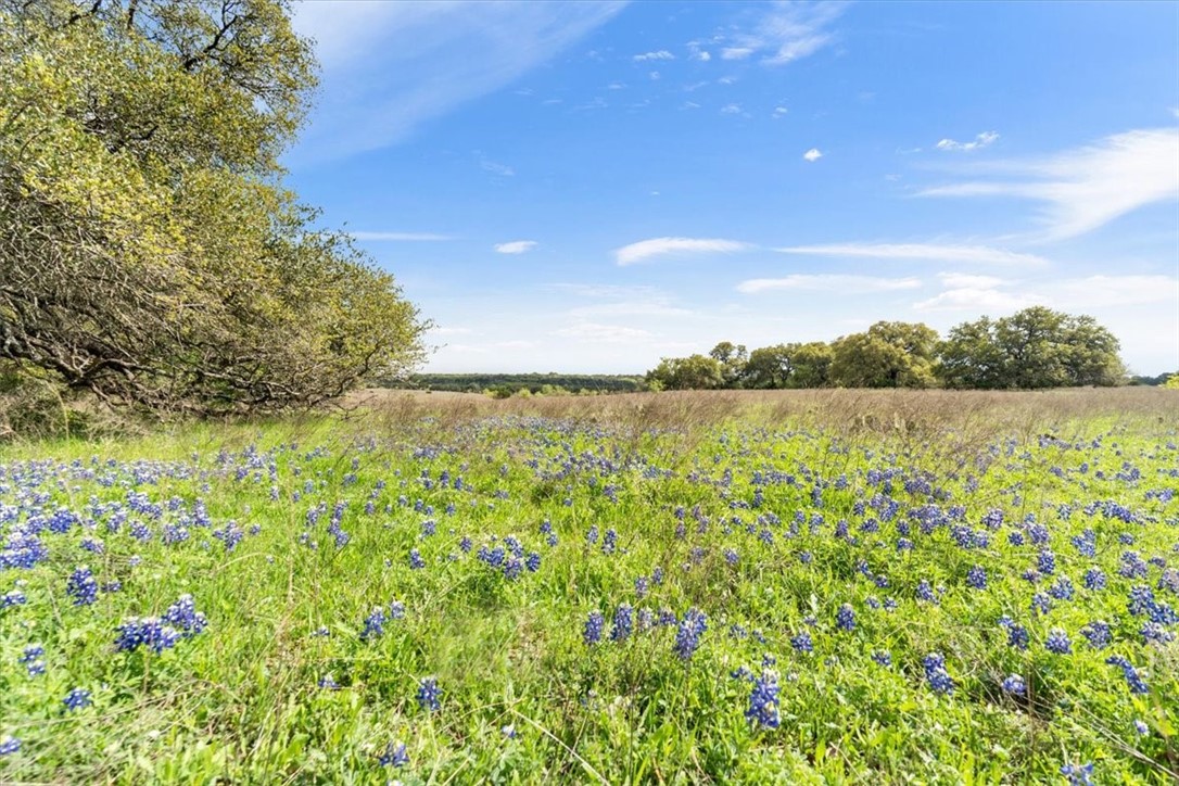 TBD 252.78 Acres Dan Morgan Road, China Spring, Texas image 28