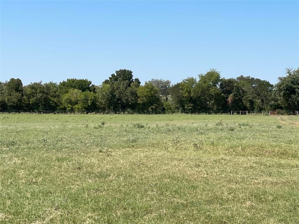 TBD Cr 245 Road, Kosse, Texas image 11