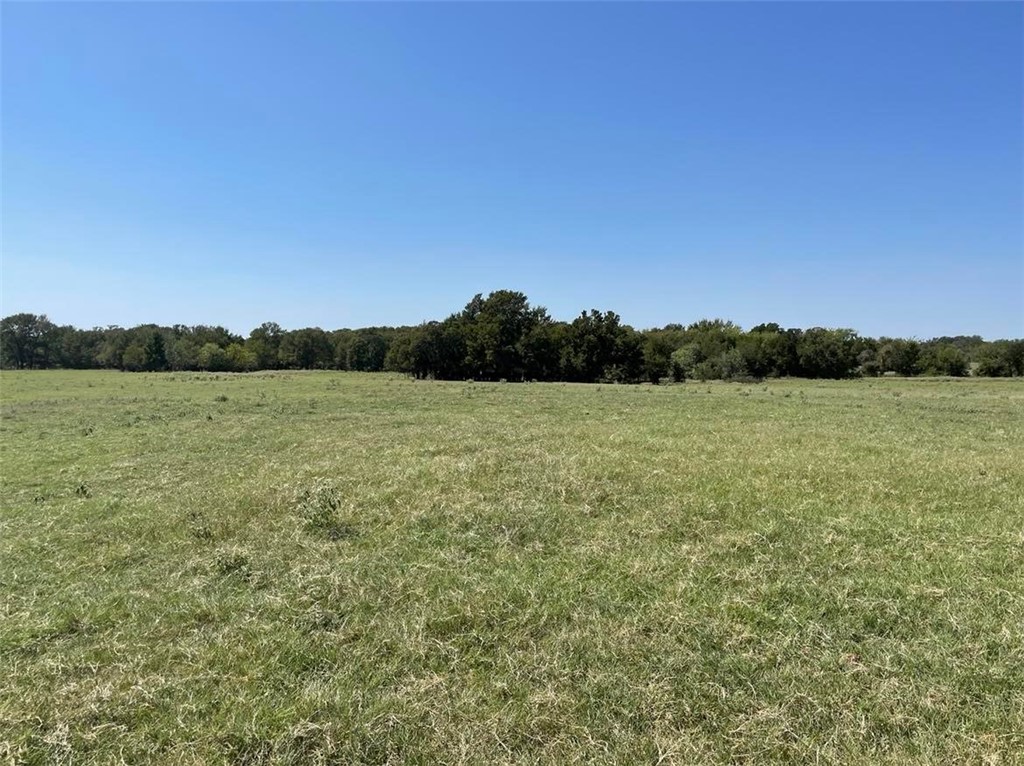 TBD Cr 245 Road, Kosse, Texas image 6