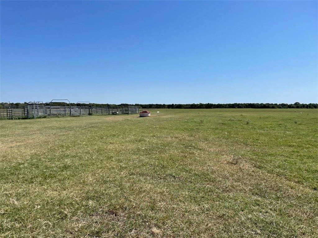 TBD Cr 245 Road, Kosse, Texas image 7