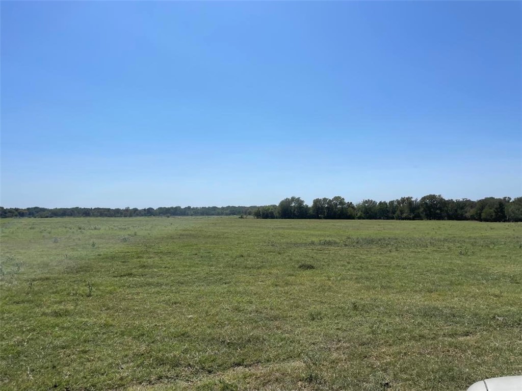 TBD Cr 245 Road, Kosse, Texas image 8