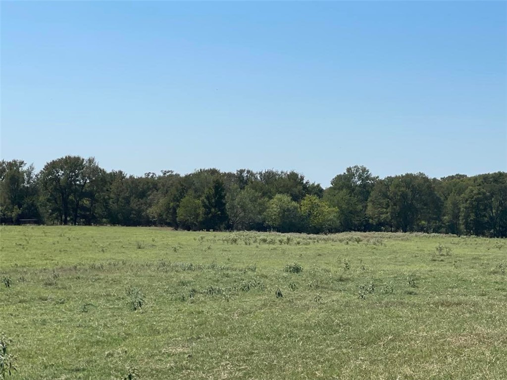 TBD Cr 245 Road, Kosse, Texas image 9