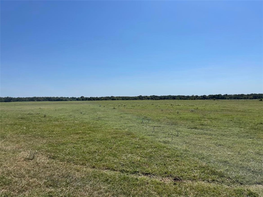 TBD Cr 245 Road, Kosse, Texas image 10