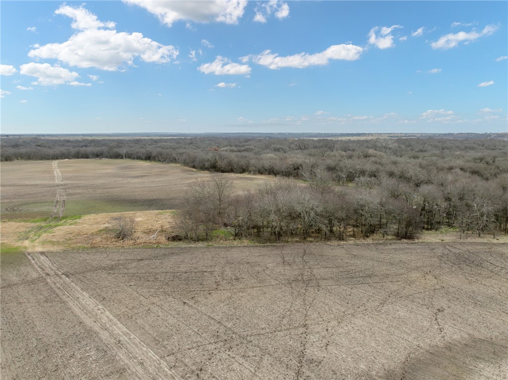 TBD Casey Road, West, Texas image 3