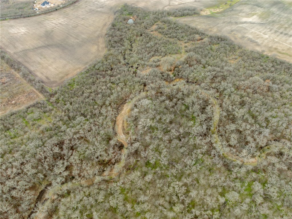 TBD Casey Road, West, Texas image 11