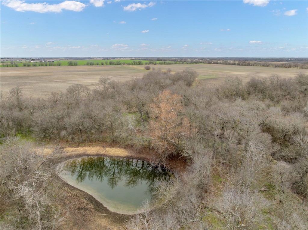 TBD Casey Road, West, Texas image 5