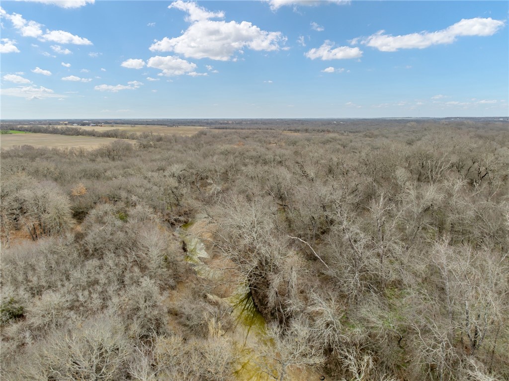 TBD Casey Road, West, Texas image 10