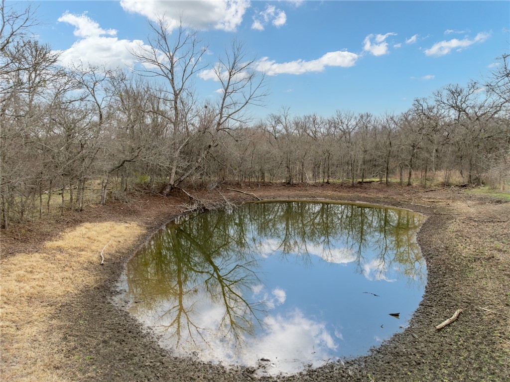 TBD Casey Road, West, Texas image 6