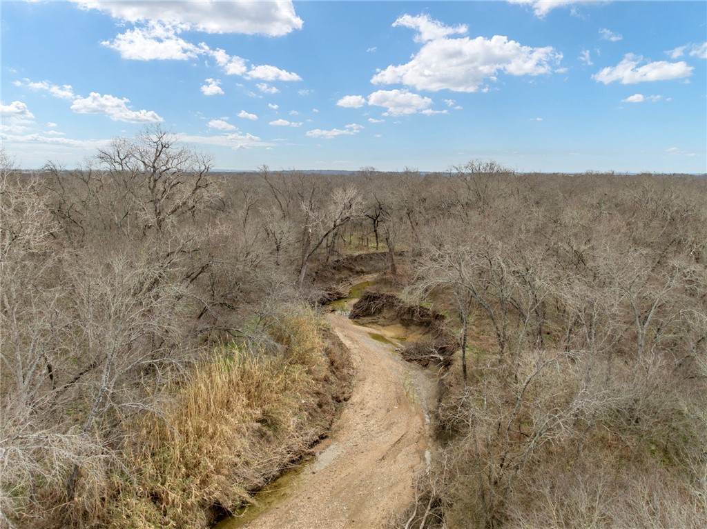 TBD Casey Road, West, Texas image 7