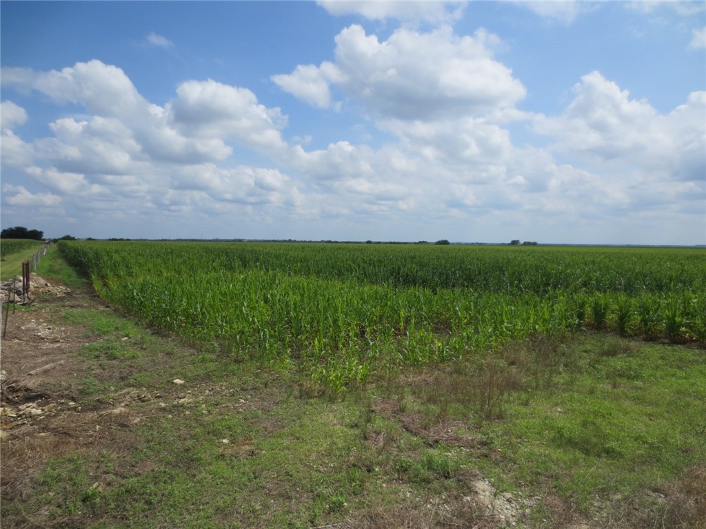 TBD Hcr 2341 Road, Abbott, Texas image 2