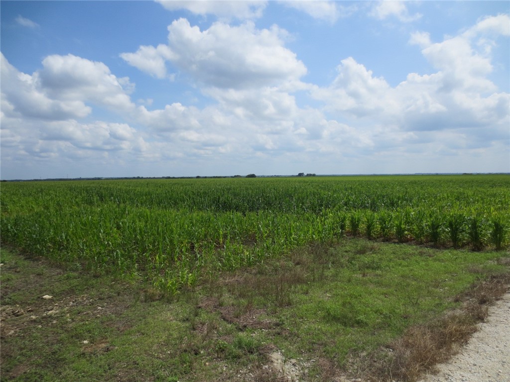 TBD Hcr 2341 Road, Abbott, Texas image 3