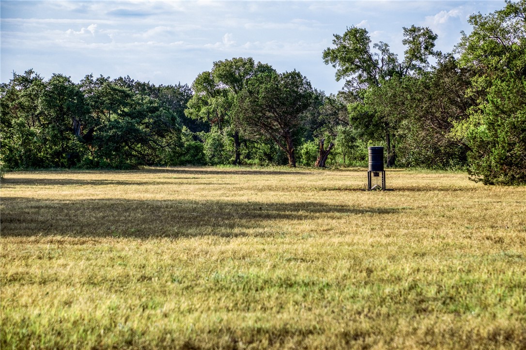 000 Russell Road, Gatesville, Texas image 15