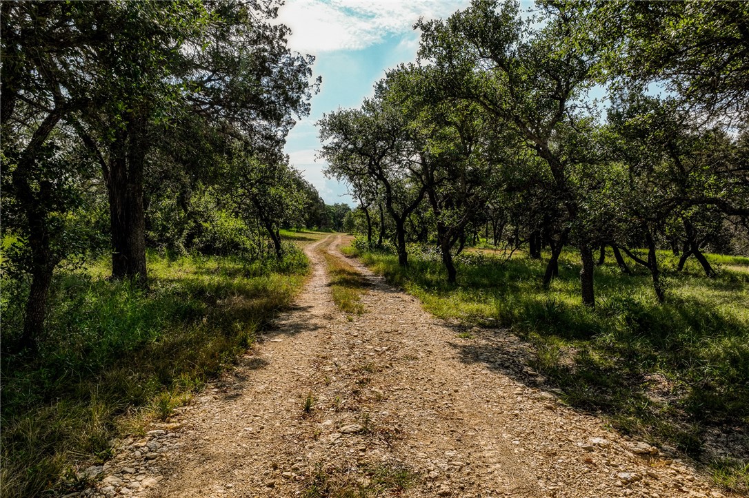 000 Russell Road, Gatesville, Texas image 6