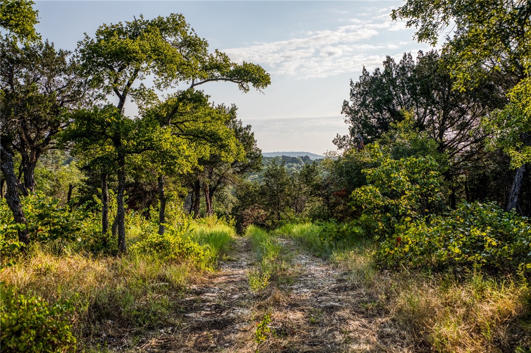 000 Russell Road, Gatesville, Texas image 12