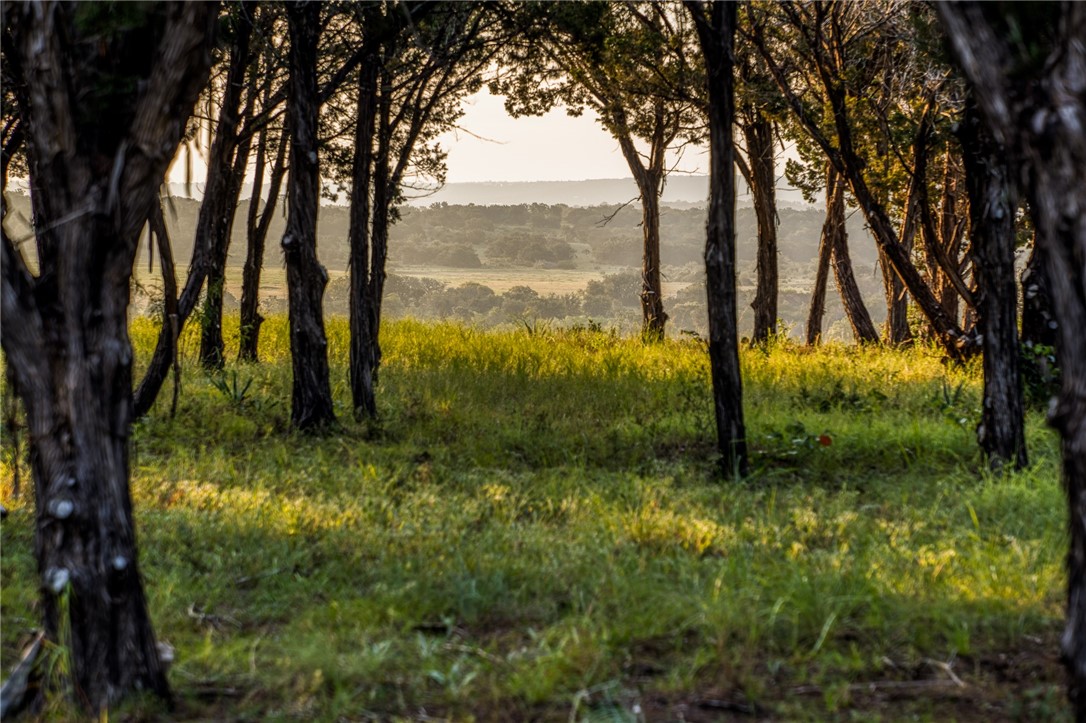 000 Russell Road, Gatesville, Texas image 9