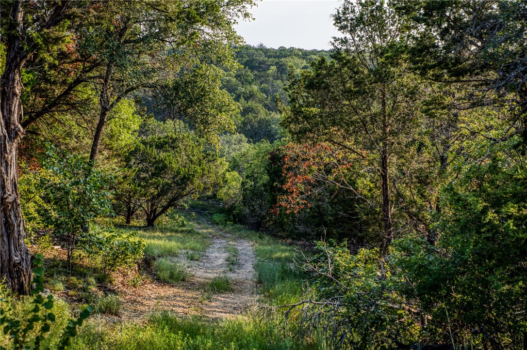 000 Russell Road, Gatesville, Texas image 3