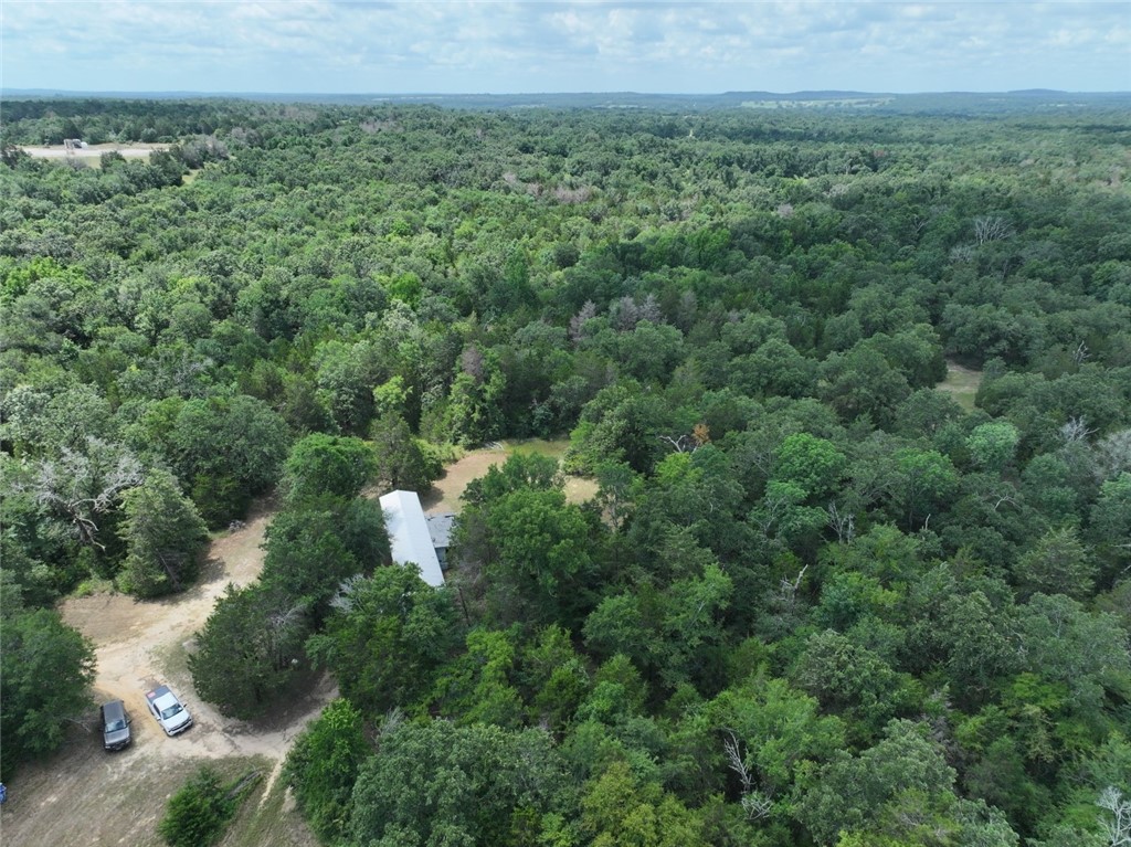 300 Cr 431 Road, Fairfield, Texas image 8