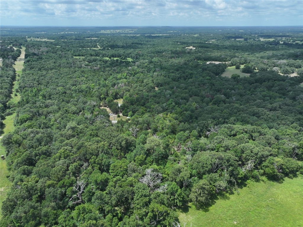 300 Cr 431 Road, Fairfield, Texas image 7