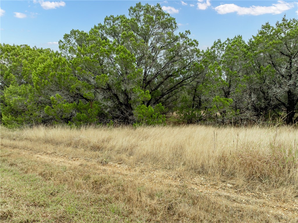 18062 Forrest Drive, Whitney, Texas image 5