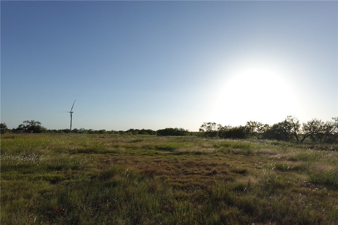 TBD Lcr 300 Road, Mart, Texas image 10