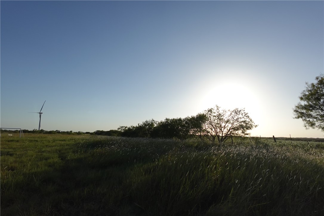 TBD Lcr 300 Road, Mart, Texas image 12