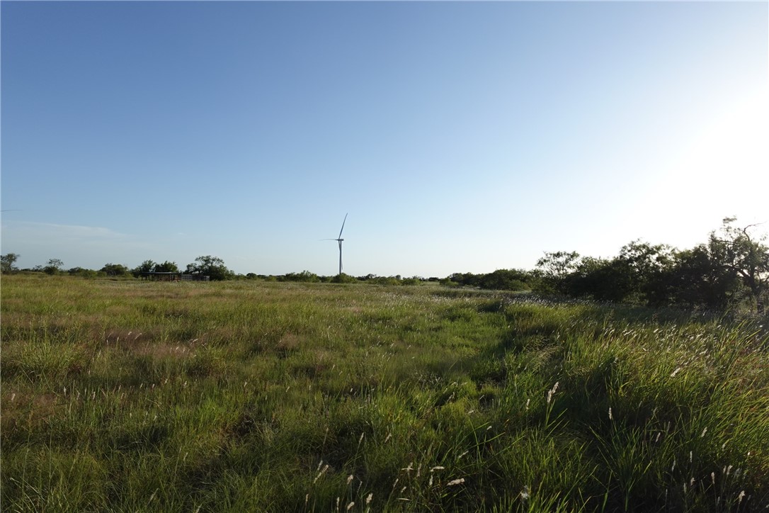 TBD Lcr 300 Road, Mart, Texas image 8