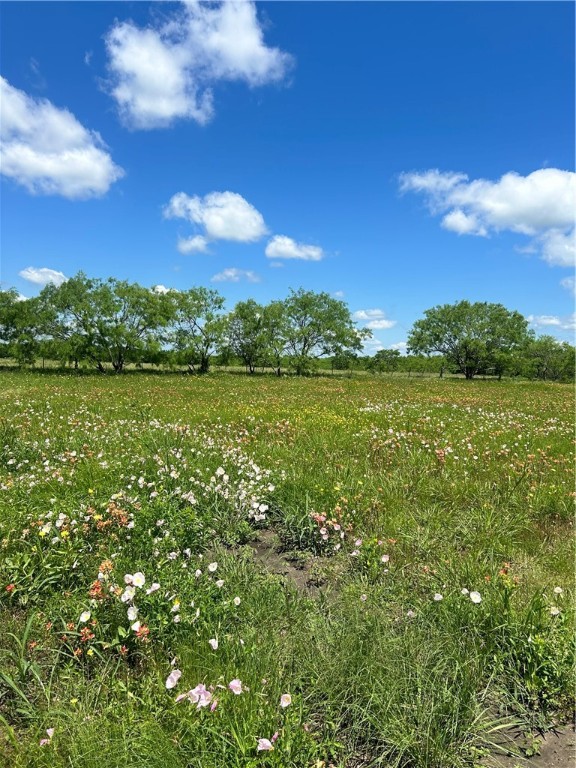 TBD Lcr 300 Road, Mart, Texas image 4