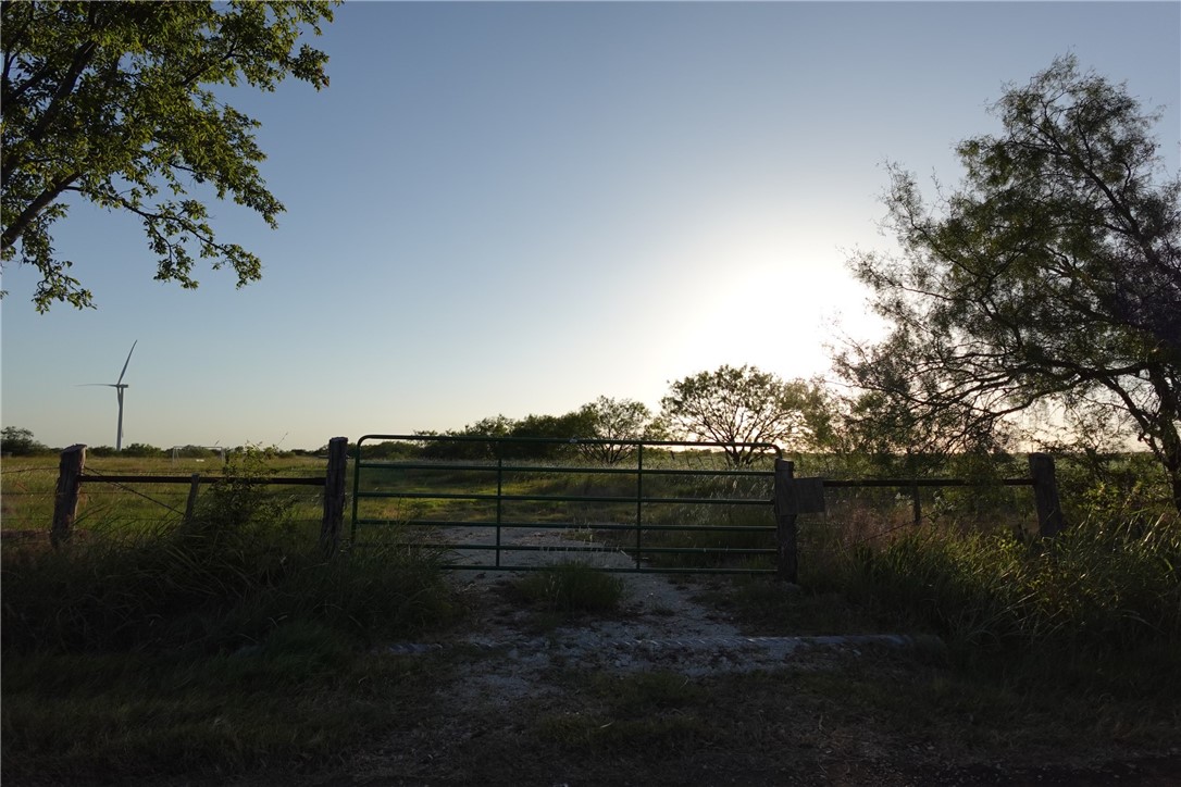 TBD Lcr 300 Road, Mart, Texas image 15