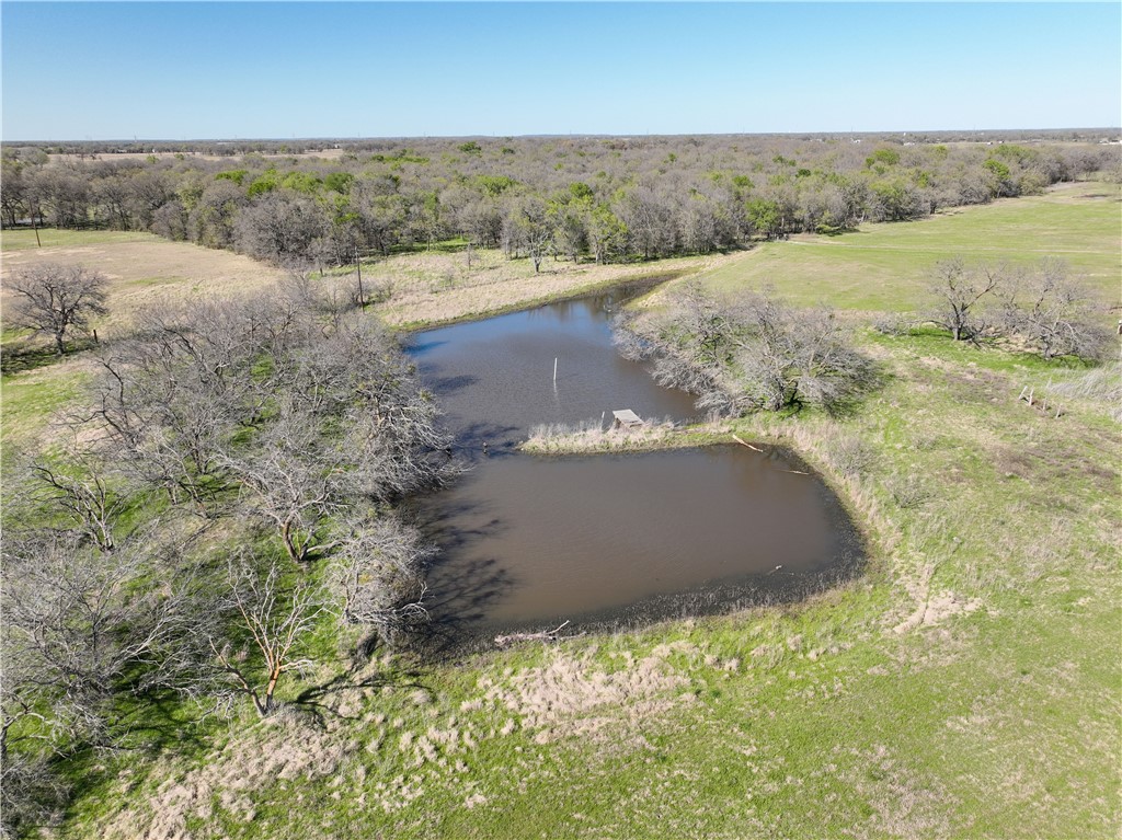 236 Hcr 2215, Aquilla, Texas image 45