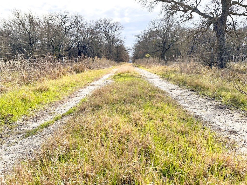 236 Hcr 2215, Aquilla, Texas image 2