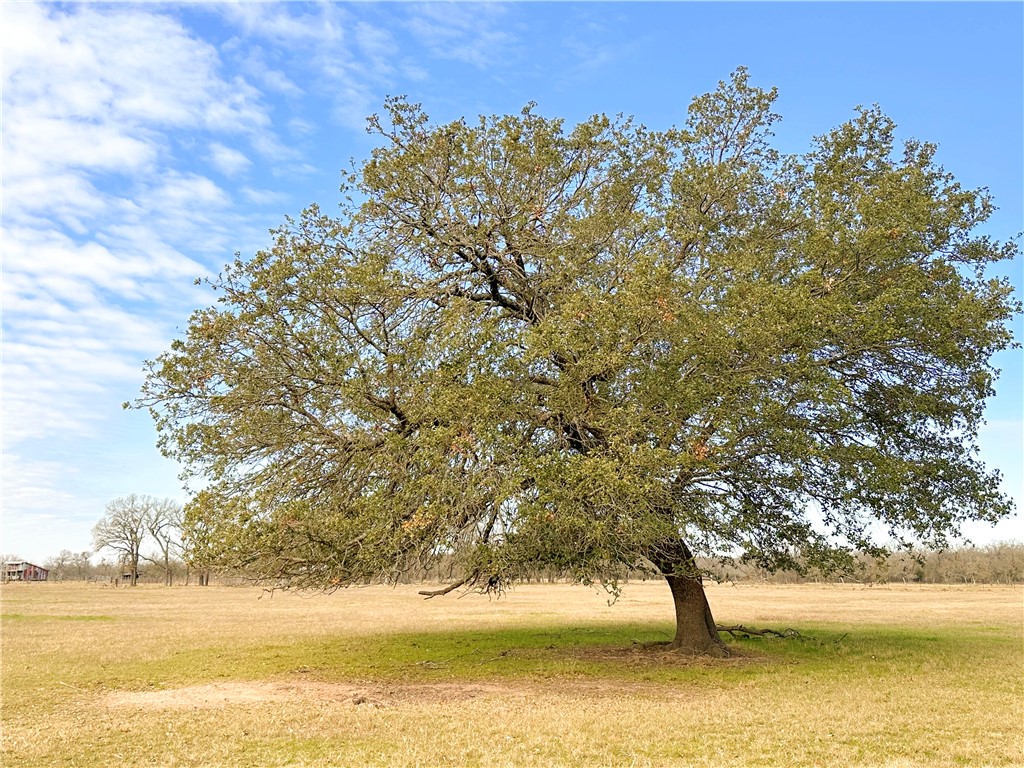 236 Hcr 2215, Aquilla, Texas image 14