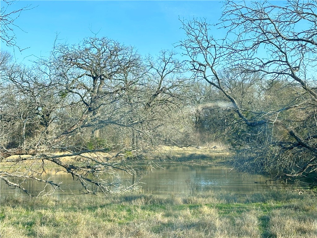 236 Hcr 2215, Aquilla, Texas image 10