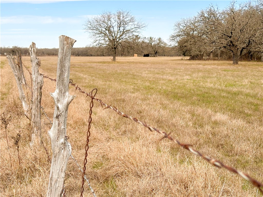 236 Hcr 2215, Aquilla, Texas image 11