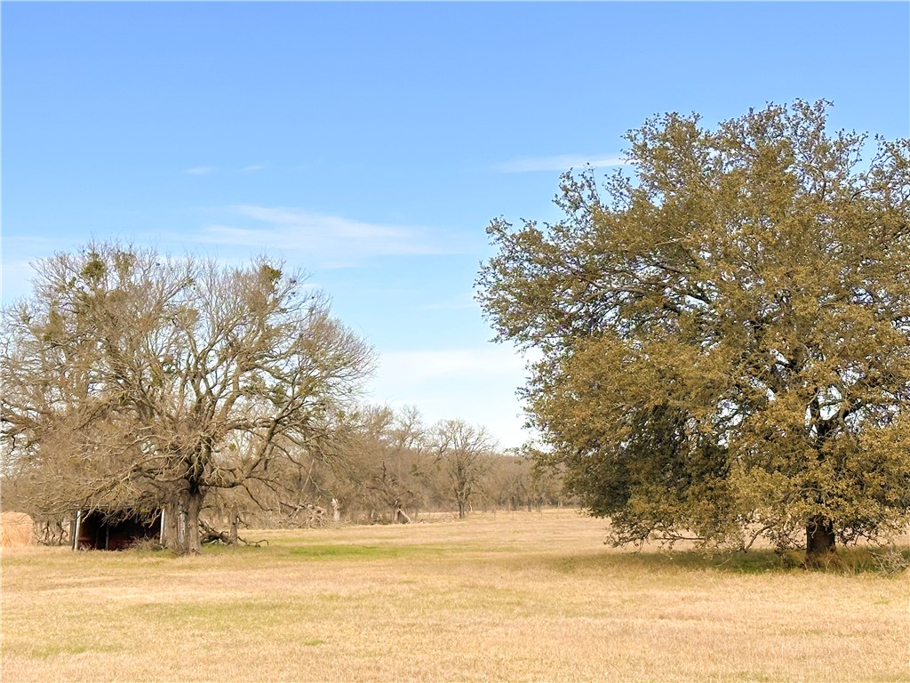 236 Hcr 2215, Aquilla, Texas image 15