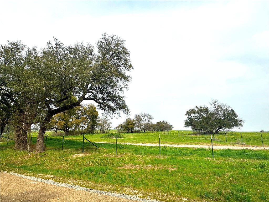 Sunset Ranch Tract 8 Cr 356 Road, Gatesville, Texas image 11