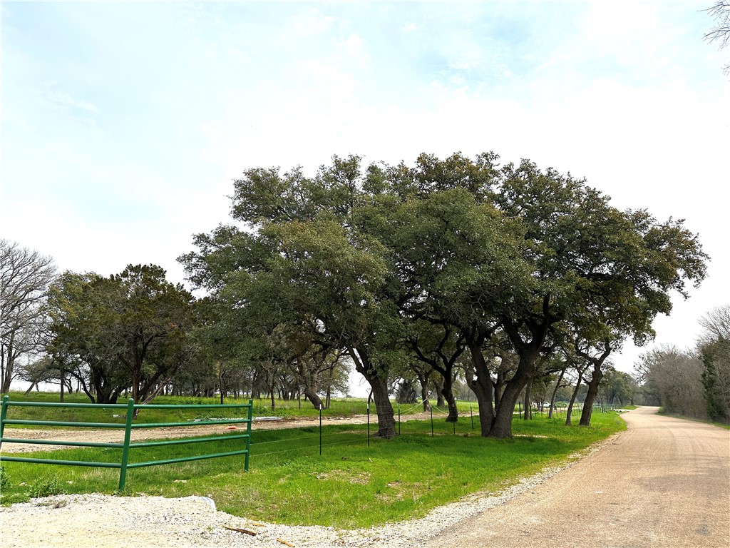 Sunset Ranch Tract 8 Cr 356 Road, Gatesville, Texas image 12