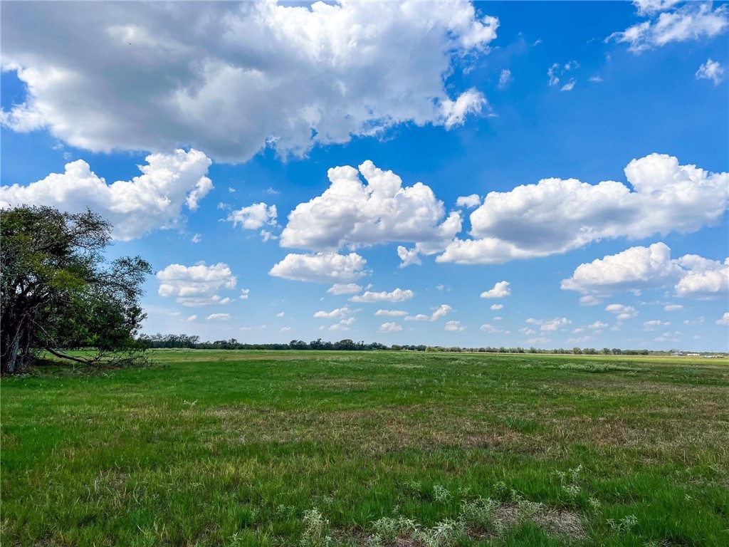 Tract 8 Fm 2745 Road, Kosse, Texas image 12