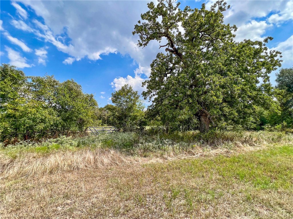 Tract 8 Fm 2745 Road, Kosse, Texas image 23