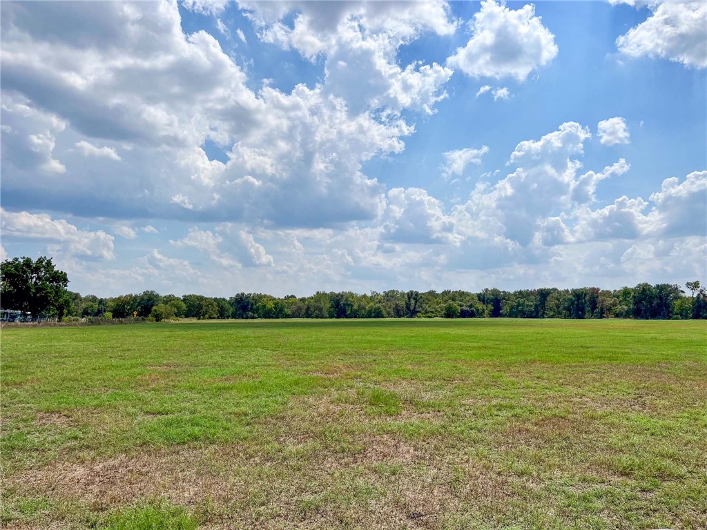 Tract 8 Fm 2745 Road, Kosse, Texas image 4