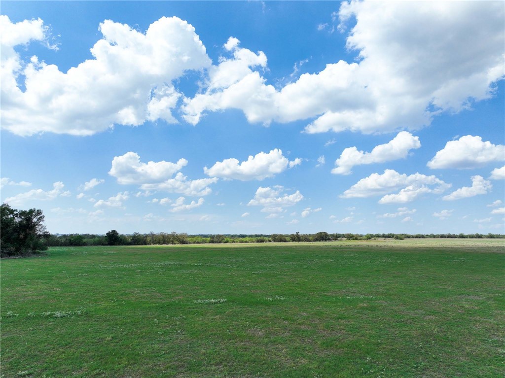 Tract 8 Fm 2745 Road, Kosse, Texas image 5