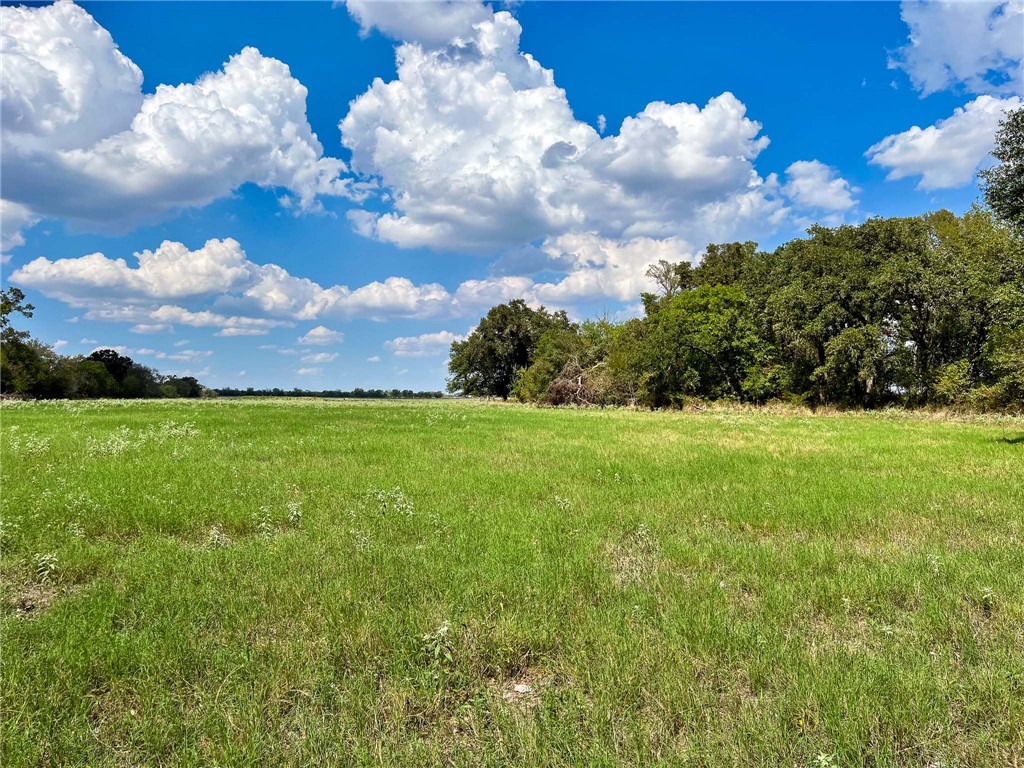 Tract 8 Fm 2745 Road, Kosse, Texas image 18