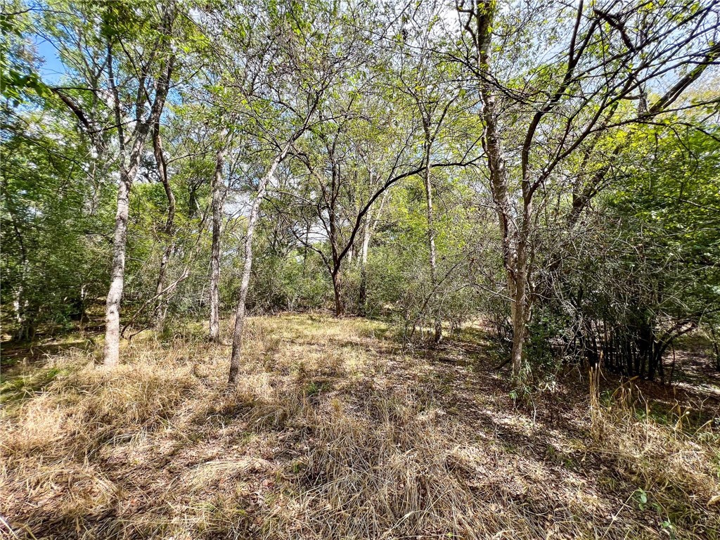 Tract 8 Fm 2745 Road, Kosse, Texas image 32