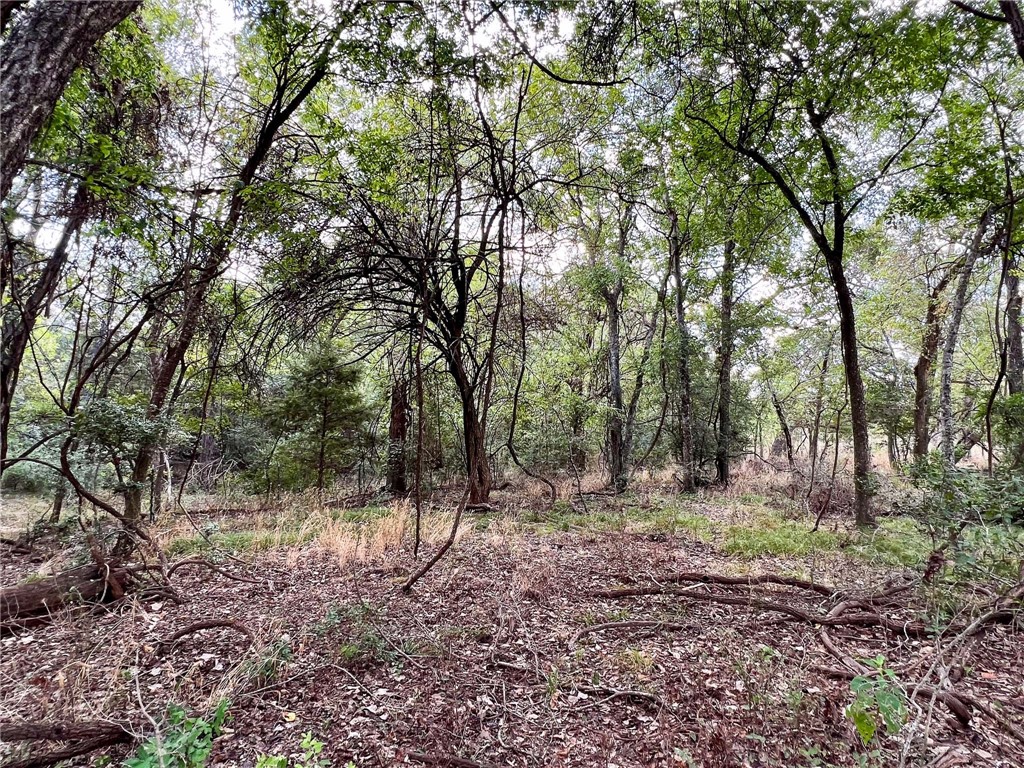 Tract 8 Fm 2745 Road, Kosse, Texas image 36