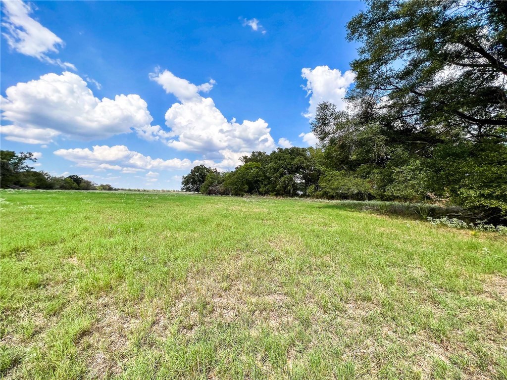 Tract 8 Fm 2745 Road, Kosse, Texas image 15