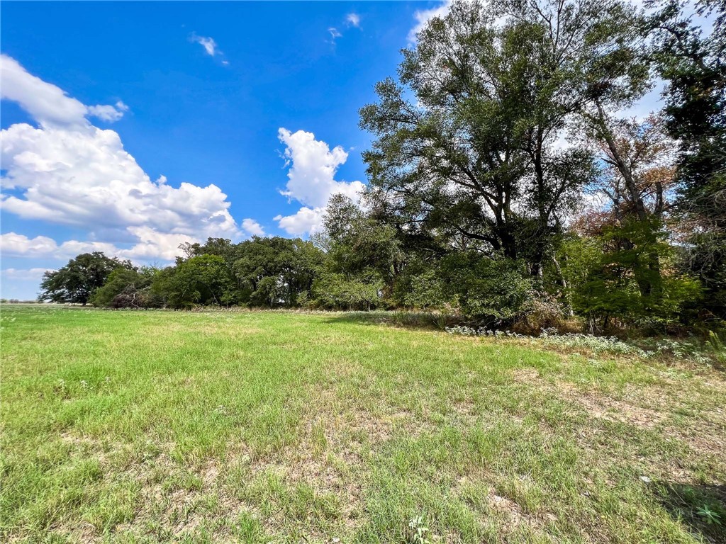 Tract 8 Fm 2745 Road, Kosse, Texas image 16