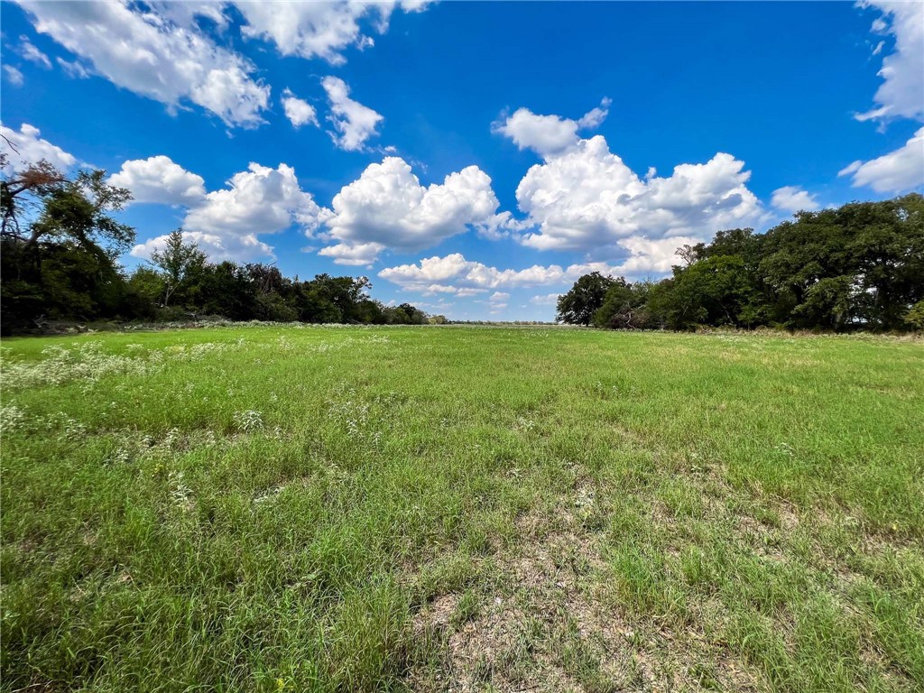 Tract 8 Fm 2745 Road, Kosse, Texas image 17