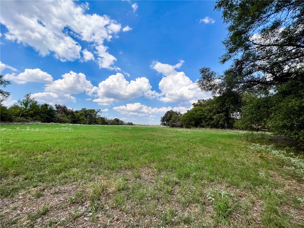 Tract 8 Fm 2745 Road, Kosse, Texas image 14