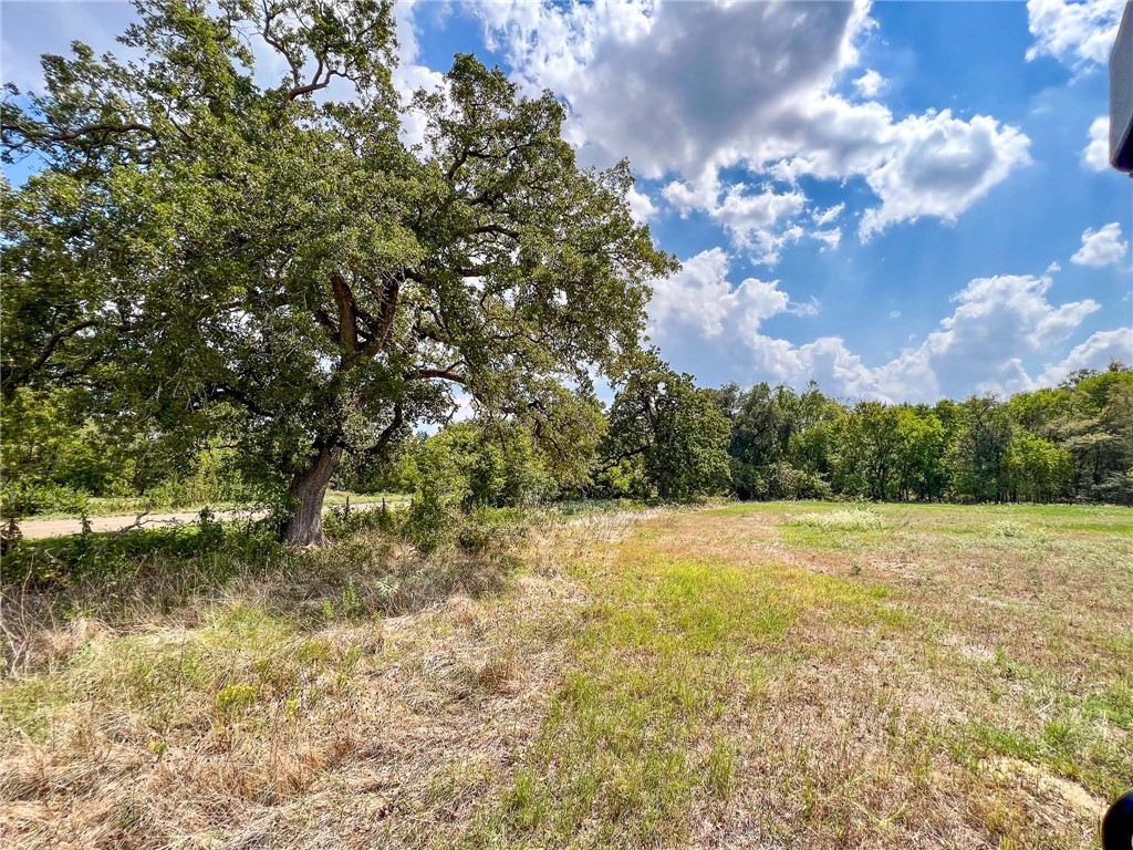 Tract 8 Fm 2745 Road, Kosse, Texas image 22