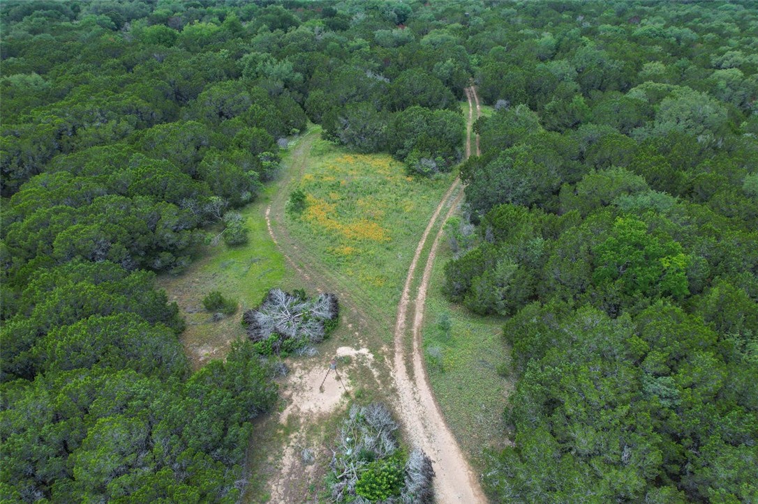 453 Old Prairie Lane, Valley Mills, Texas image 26